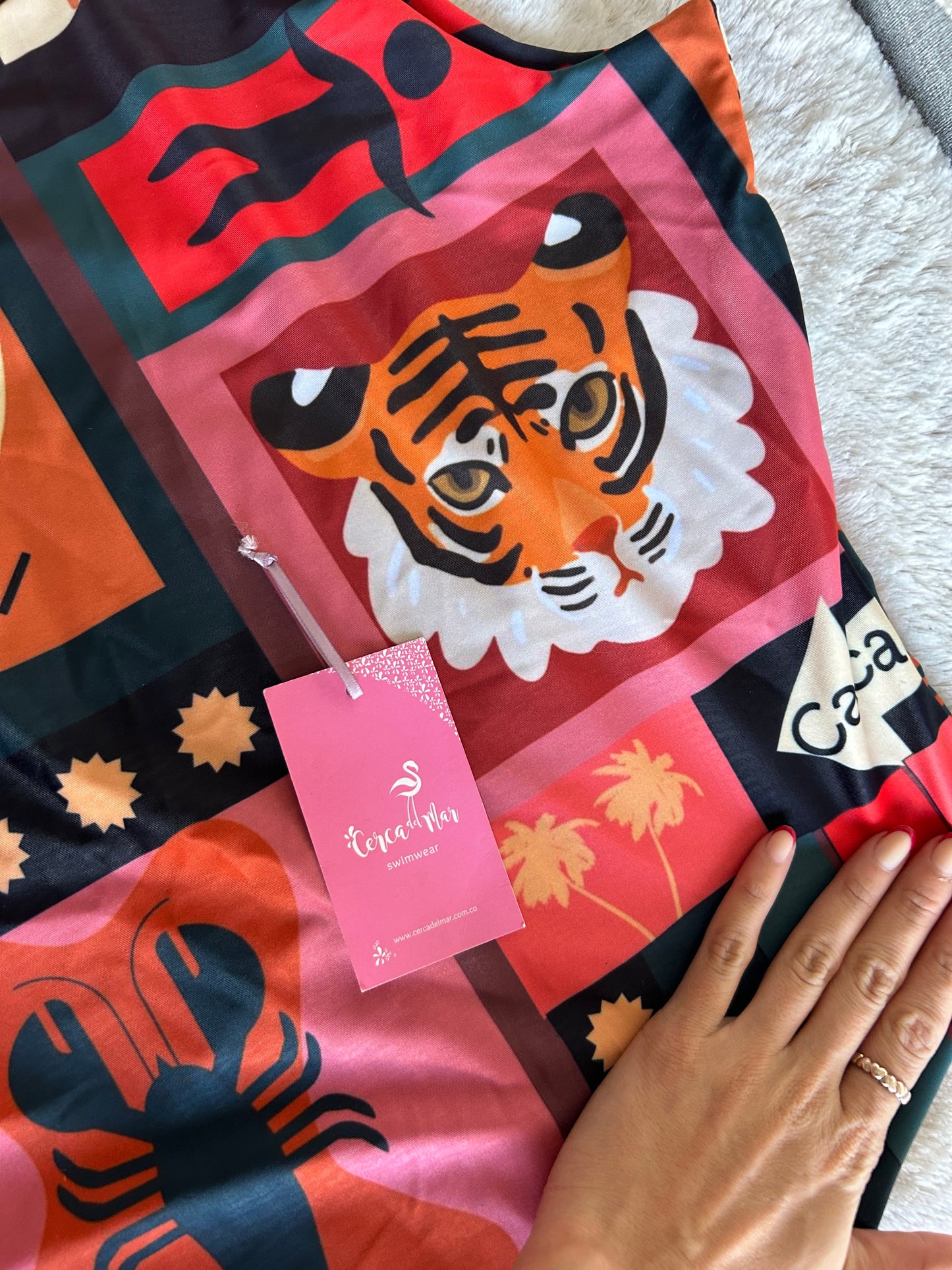 Playa de Río Y Tigres